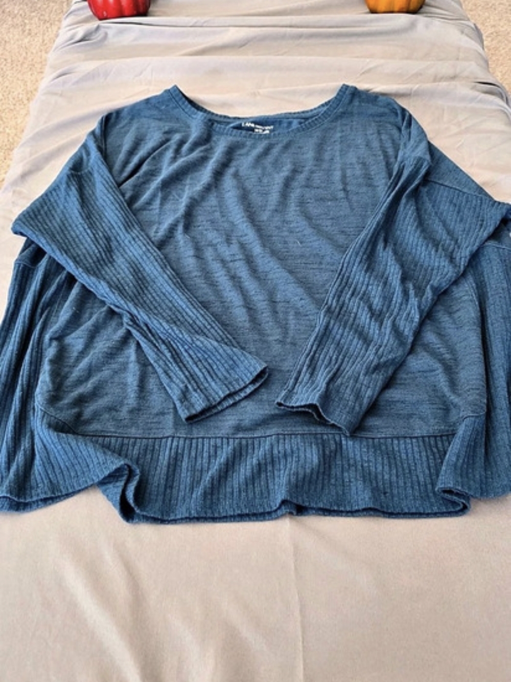 Lane Bryant Long Sleeve Ribbed Top in Blue Size 18/20 - Picture 3 of 4